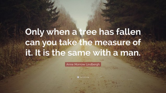 tree quote.jpg